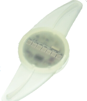 Portfolio 1